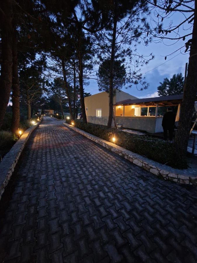Apartment Alexandra 8 Lefkimmi (Corfu)