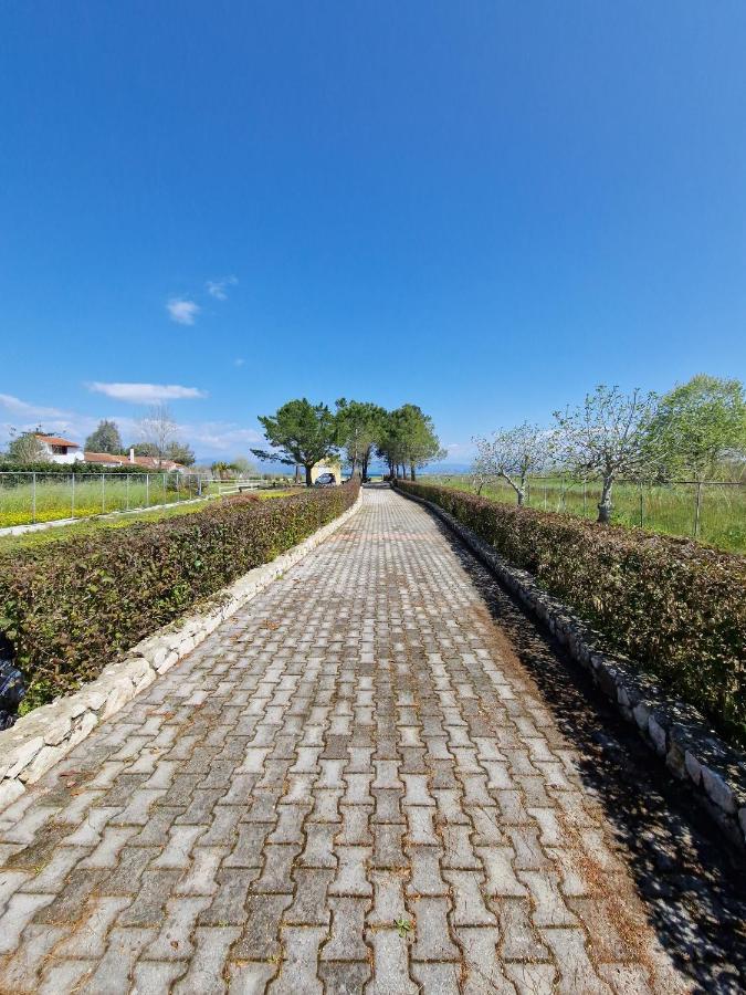 Apartment Alexandra 8 Lefkimmi (Corfu)